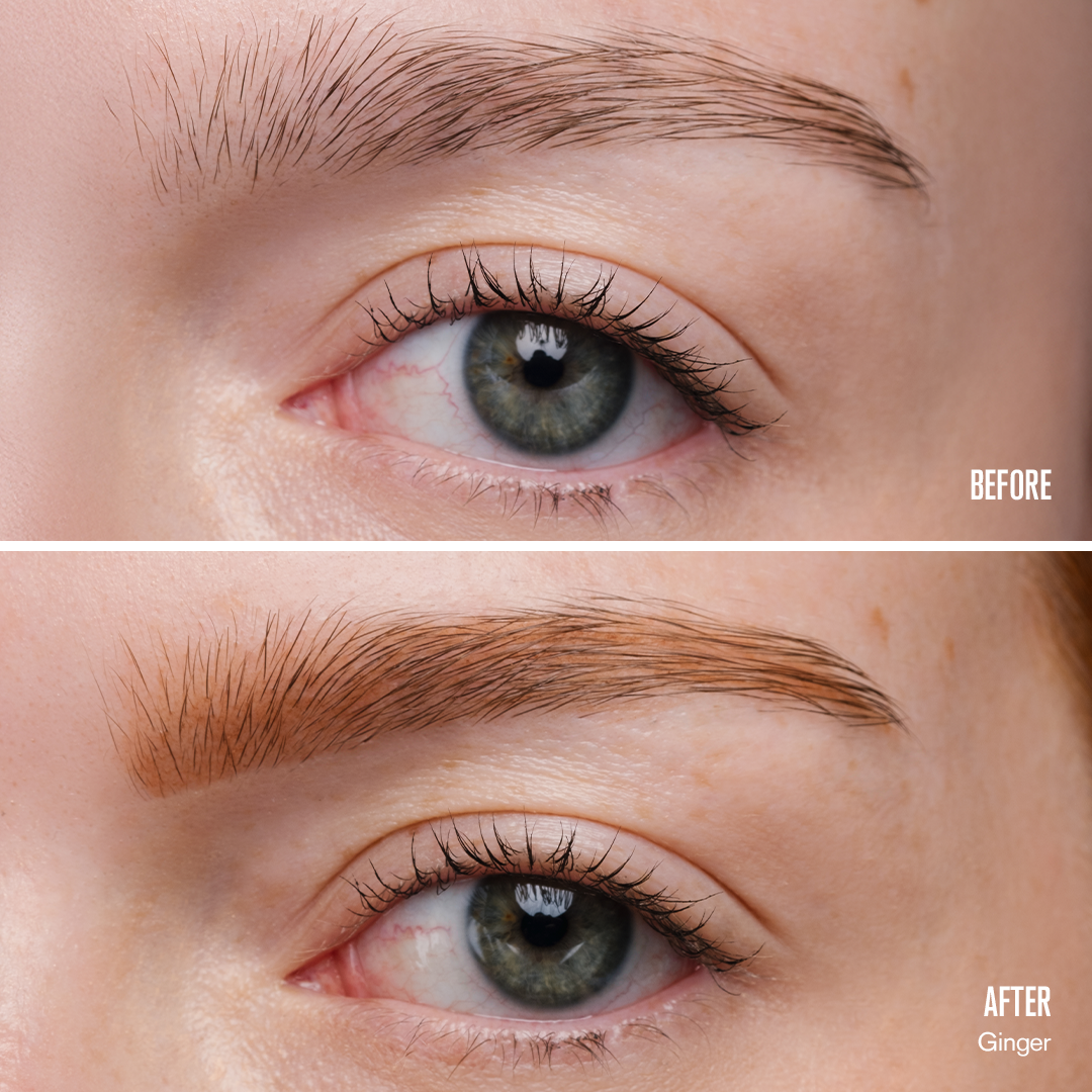 BrowDesigner-Ginger.png